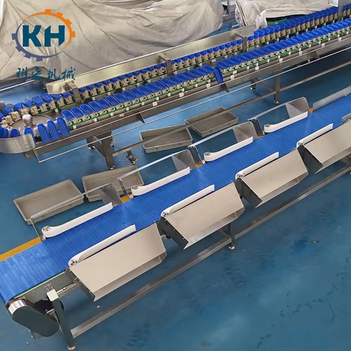 High Efficiency Low Energy Box Type Weight Sorting System Continuous Running for Food Packaging Workshops