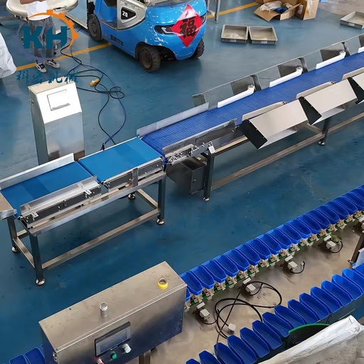 Energy Optimized Cabinet-Style Weight Grading Machinery Stable Sorting for Complete Food Processing Lines