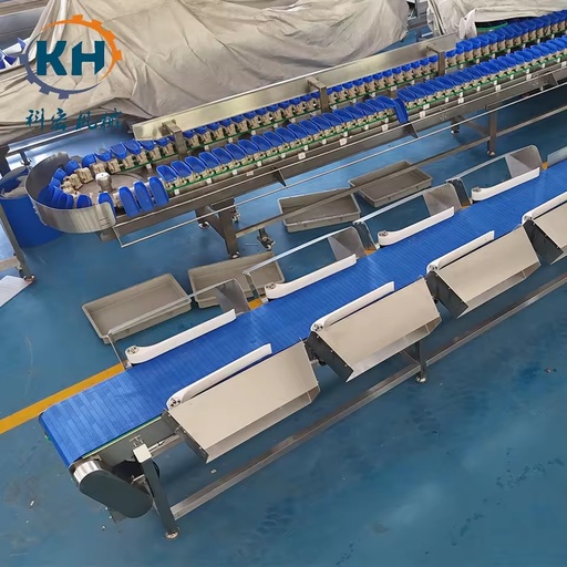 Low Consumption Automated Box Weighing Sorter Energy Saving Design for Small and Mid-Size Food Factories