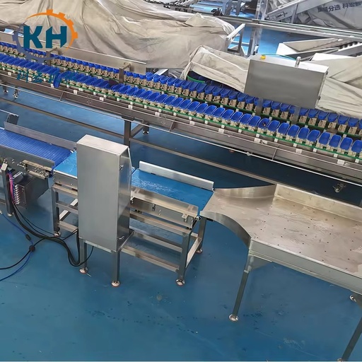 Low Power Box-Style Automatic Weighing Sorting Device Energy Efficient for Packaged Food Production Lines