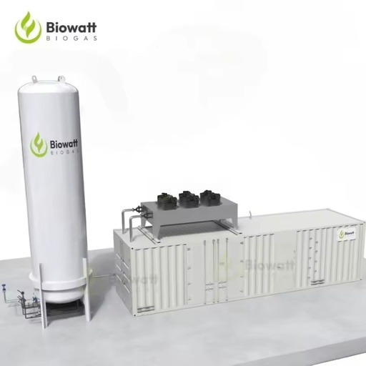 Biogas Generator Set to Bio CNG Plant Machinery for CBG Production Process Including Compression