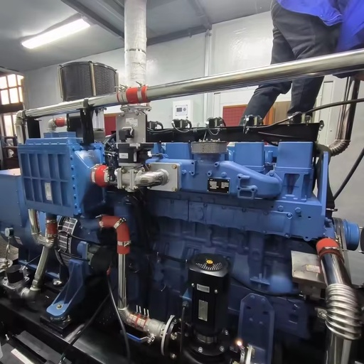 350kw Yuchai Biogas Silent Single Phase 380V Generator with Remote Start Auto Start DC Water Cooling 95% Efficiency IP23