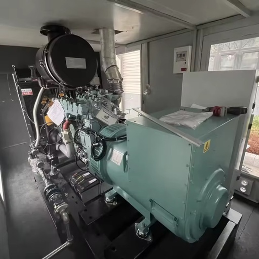 275KW 343.75KVA Natural Gas Biogas Biomass Gas Generator Set DC Auto Start Remote Start Brushless Excitation Type Syngas 95%