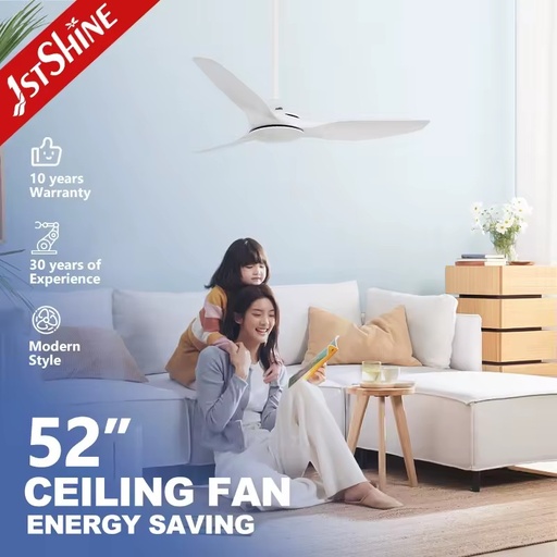 1stshine Hot Selling Fans Manufacturer ABS Blades