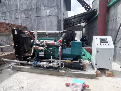 200kW 250kVA Biogas Generator Silent CHP Methane Natural Gas LPG Syngas Genset Remote Control 100% Copper ATS Auto Start