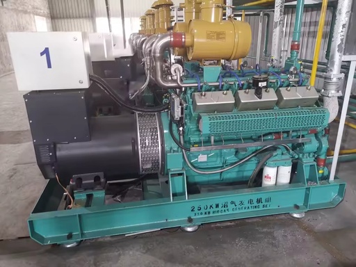 250kW Biogas Open Frame Water Cooled Generator with Auto/Remote Start 50Hz ATS & Remote Control High Efficiency 95%