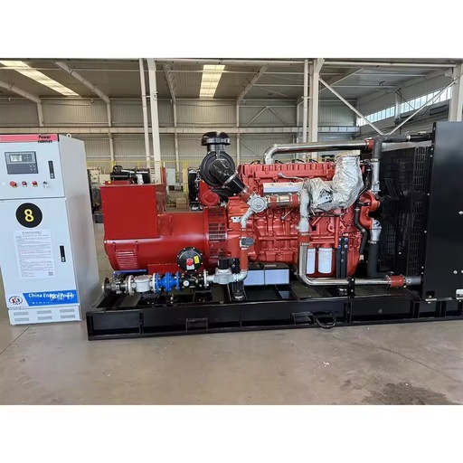 250kW Biogas Gas Generator Set-Clean and Efficient Commercial Three-Phase Water Cooled Auto Start ATS SE250BF