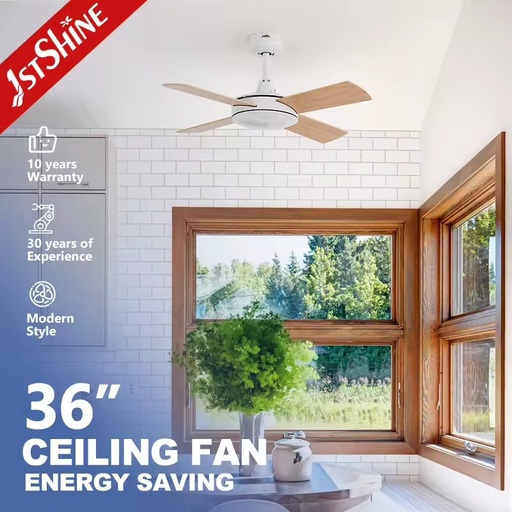 1stshine Modern Motor Wall Timer Function Reversible Blades Heavy Duty Durable Quality Energy Saving Home Decor Ceiling Fan