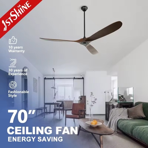 1stshine Hot Selling Fans Large Room Voice Control Summer Winter Mode Indoor Outdoor Use Assistant Heavy Duty Ceiling Fan