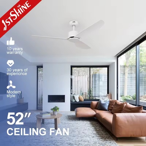 1stshine ABS Blade White Blades Low Power Consumption Voice Assistant Ultra Quiet Timer Function Smart Home Ceiling Fan