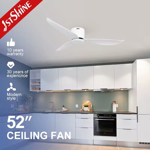 1stshine ABS Blade Profile Energy TUYA Wifi Indoor Outdoor Use Eco Friendly Voice Control Flush Mount Home Decor Ceiling Fan