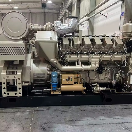 700kW 800kW-1000kW Biogas Generator Set Natural Gas/Mine Gas Methane Genset for Industrial Power