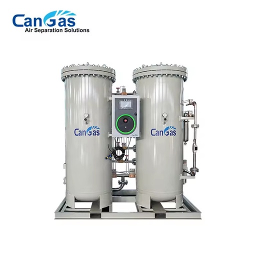 PSA Nitrogen Generator 30Nm3 Per h Nitrogen Gas Generation Equipment 95-99.9995% Purity 220V 380V Industrial Use