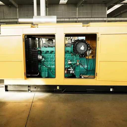 312.5KVA 250KW Silent 380V Three Phase Water Cooled Biogas Generator Auto Start Remote 95% Efficiency 50/60Hz Gas/Biomass Gas