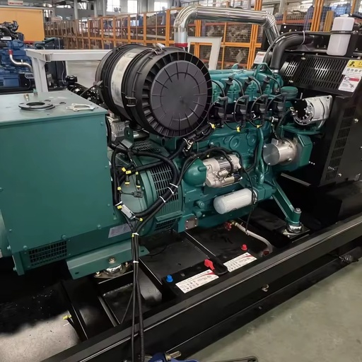 50kW 62.5kVA Multi Fuel Genset Natural Gas LPG Biogas Syngas Auto Start 3 Phase for Factory Farm Standby Power