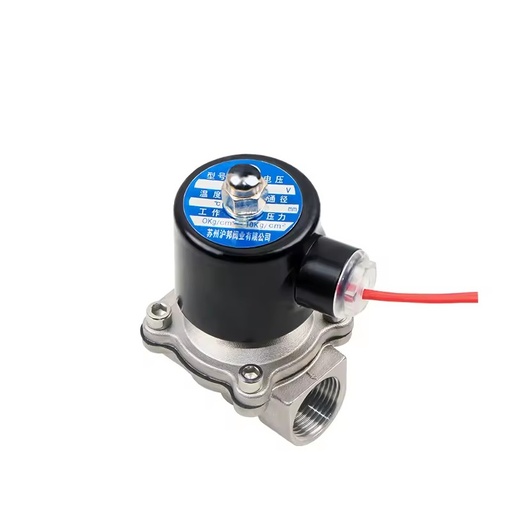 304 Stainless Steel Solenoid Valves Normally Closed Brass 2W Water Valve 220V 24V DN15 DN25 DN40 DN 50