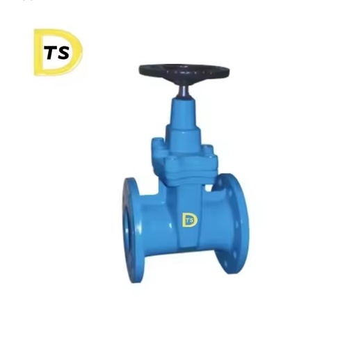 PN10 PN16 Z45X BS5163 Soft Seal Flange Ductile Cast Iron Gate Valve