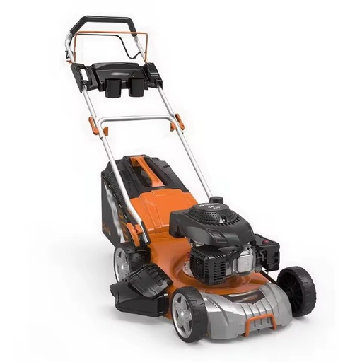 DAEWO0 DLM4600SP Cordless Lawn Mower 4-Stroke Petrol Power 700155 Single Cylinder Rotary Blade with Rear Grass Box DIY Grade