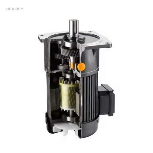 OEM ODM High Torque AC Gear Motor with Gearbox for Industrial Automation Machinery
