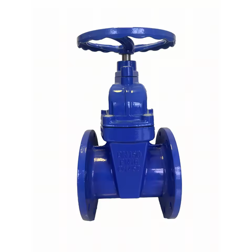 British Standard Manual Cast Iron Soft Seal Stop Gate Valve Low Pressure Z45X Z41X Flange 1 in Water 3 Year Warranty