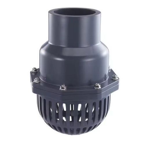 Wholesale Customized OEM/ODM PVC Foot Valve Swing Type Check Valve for Water Application