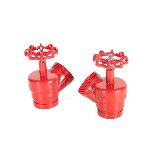 1F Fire Hydrant Cast Iron Fire Hydrant Angle Valve South America 2-1/2" Fire Angle Valve