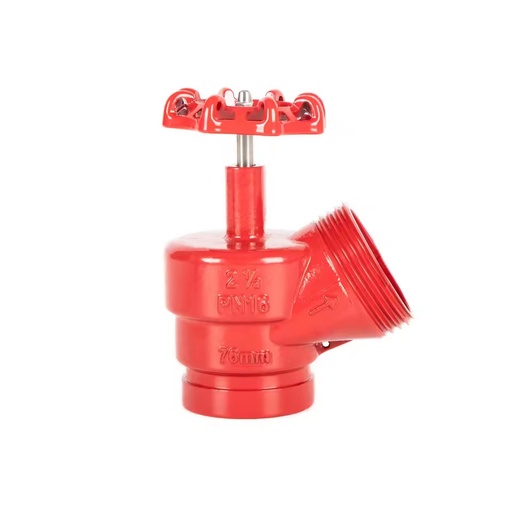 1F Manual South America Fire Fighting System Angle Valve 2-1/2" Casting Iron Ductile Iron Fire Valve for Fire Hydrant