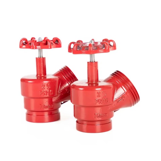 1F South America Ductile Iron Angle Valve 2-1/2" Casting Iron Valve for Fire Hydrant Fire Fighting