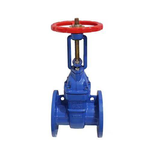 2 in - 12 in Flanged Rising Stem Ductile Cast Iron Gate Valve Z41P-16Q for Water Supply