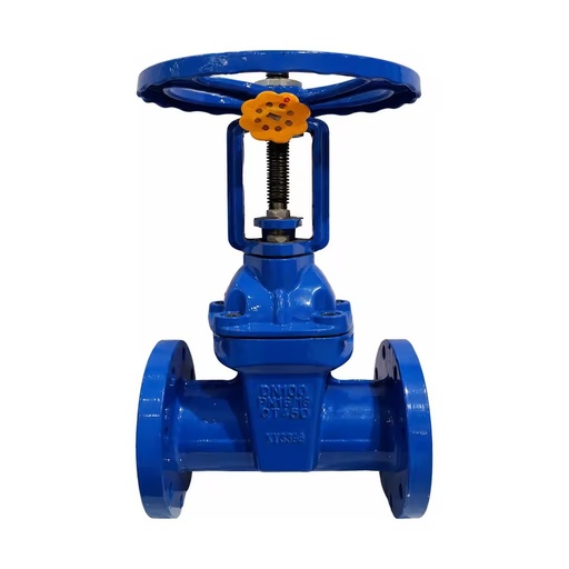 Ductile Cast Iron Flanged Rising Stem Gate Valve PN16 2 in - 12 in SZ41X-16Q for Pipeline Isolation