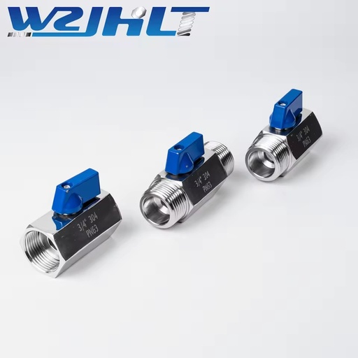304 Stainless Steel Sanitary Mini Ball Valve Manual One-Piece Design Female & Male Thread High Pressure