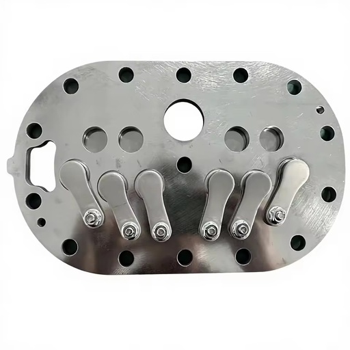 Customized High Quality Stainless Steel Valve Plate Assy for Compressor 6GE Refrigerator Spare Parts Model CZ018 75mm