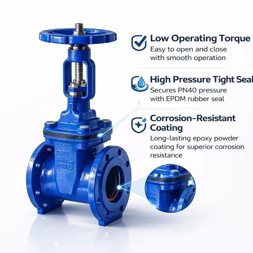 Resilient Manual Seated Gate Valve Long Stem Soft Seal Rising Stem for Water Firefighting Equipment Cast Iron/Ductile Iron