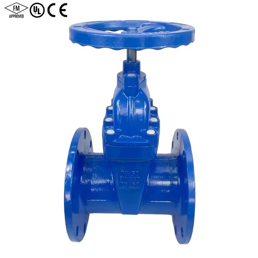 Heavy Duty Grooved NRS Gate Valve Resilient Seated 300 PSI for Fire Fighting Use
