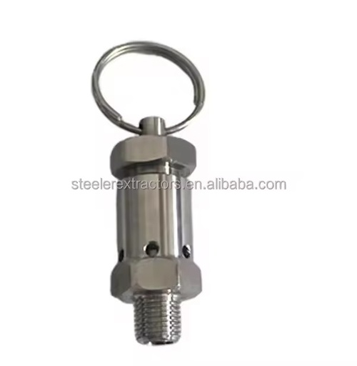 Mini Exhaust 1/4"1/2" BSPT NPT Male Thread Stainless Steel SS304 0.5-10Bar Pressure Relief Air Release Valves FKM Seat Seal