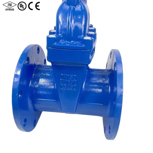 Cast Iron/Ductile Iron PN10 PN16 Flanged Non-Rising Stem Manual Water Gate Valve