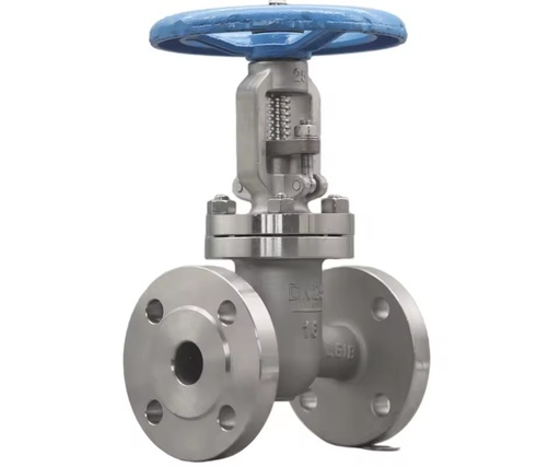 Manual Stainless Steel Flanged Gate Valve