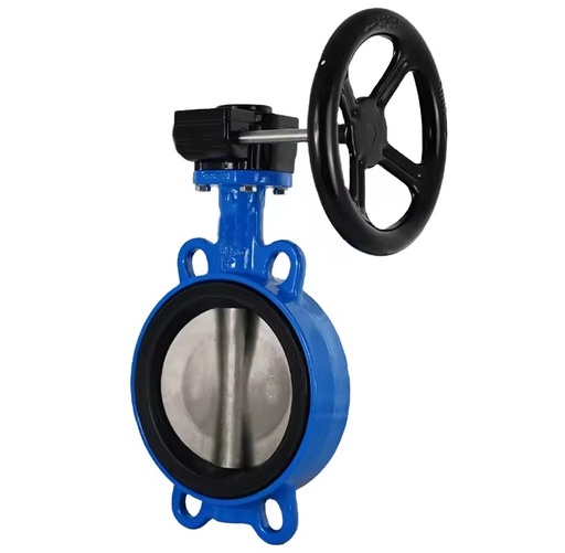 Wafer Type Cast Iron EPDM Seat ANSI DN150 6inch Stainless Steel 304 Body Disc Gearbox Butterfly Valve