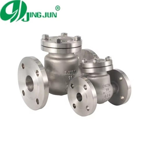 High-Quality Stainless Steel Flanged Swing Check Valve for Industrial Use